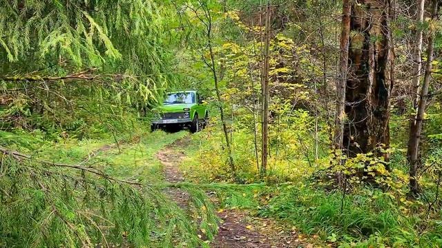 Съездили в лес. Нива едет. Без слов и комментариев смотреть онлайн