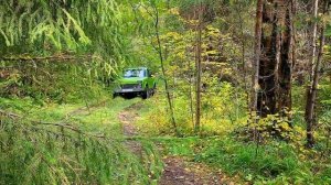 Съездили в лес. Нива едет. Без слов и комментариев