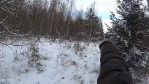 Охота с русскими гончими.Два трофея добыты.23 11 2023 год