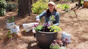 Planting a Sun-Loving Container | Gardening with Creekside