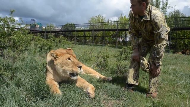 Цезарь и Казимир . смотреть онлайн