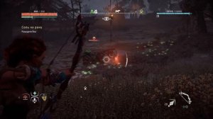 СОЛЬ НА РАНУ (Horizon Zero Dawn #10)