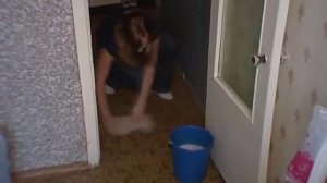 Что делать, если в квартире завелись блохи