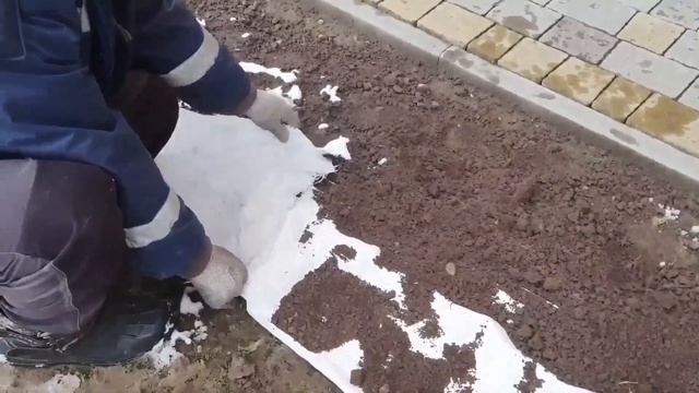 Укриття однорічних кущиків винограду на зиму