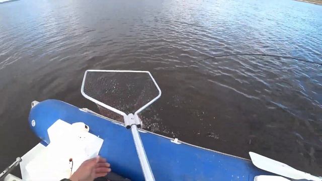 ТРОЛЛИНГ ВОЗЛЕ ДОМА!!! РЫБАЛКА В ЦЕНТРАЛЬНОЙ ЯКУТИИ!!! РЫБАЛКА С ЛОДКИ!!!