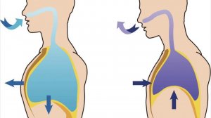 «Дыхательная гимнастика для людей с ограниченной мобильностью (для колясочников)»