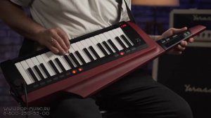 Кейтара KORG RK100S-2