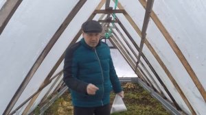 Борьба с проволочником осенью.