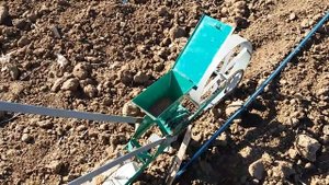 Как я сажаю морковь 1 га.