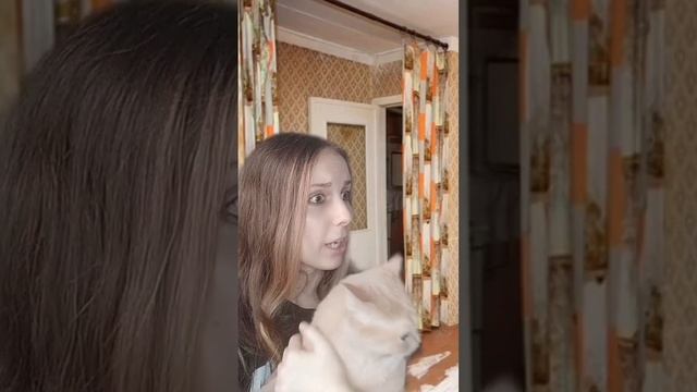 Наглые родственники украли кота смотреть онлайн