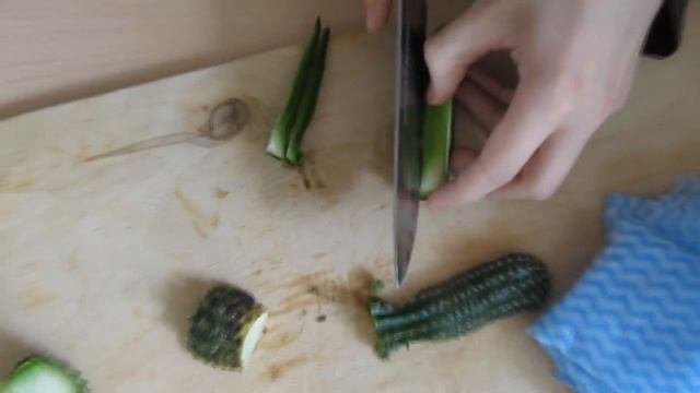 Режем 2 вида кактуса. Что находится внутри кактуса