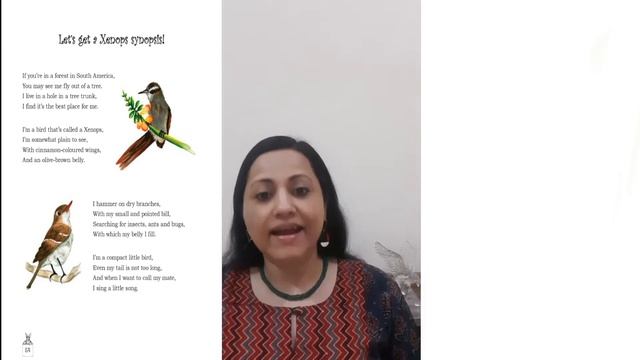 Let's get a Xenops synopsis! - Animal Antics смотреть онлайн