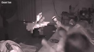 Удивительные случаи, когда животные забрались в дом к людям