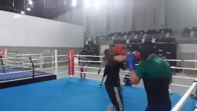 Сборная Туркмении по боксу