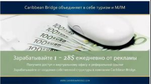 Андрей Куценко Ответы на вопросы по работе в компании Caribbean Bridge