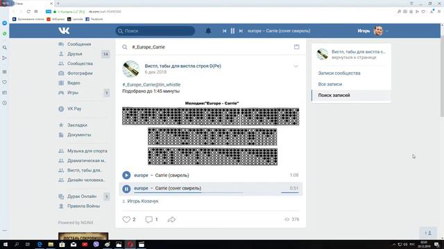 Европа - Кери (Cover Tin Whistle) смотреть онлайн