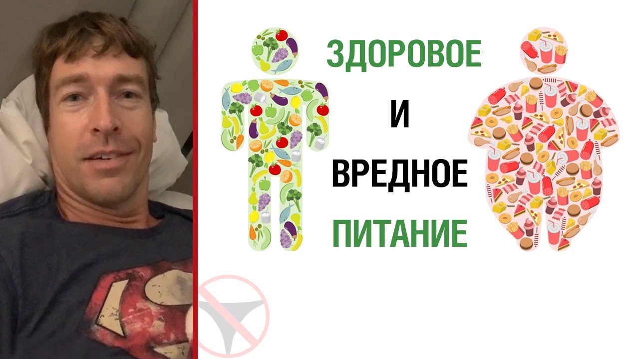 ? Здоровое и вредное питание ?