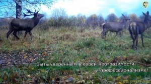 С днём заповедников и национальных парков 2021.