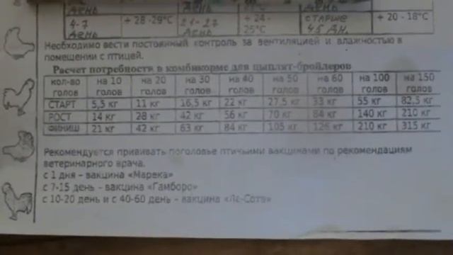 Программа  выращивания  бройлеров .