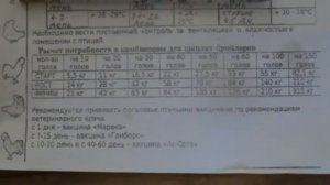 Программа выращивания бройлеров .