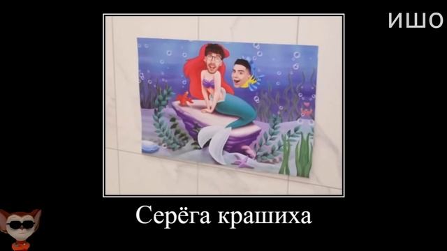 Муд Влад А4 демотиватор (Игнорируем Риви 24 часа) смотреть онлайн