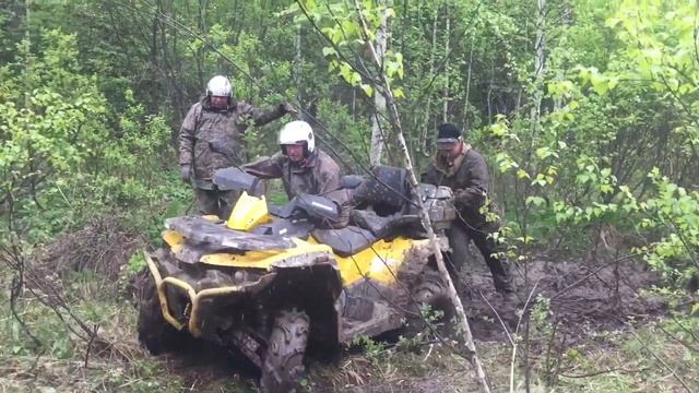 Бобровая заводь. смотреть онлайн