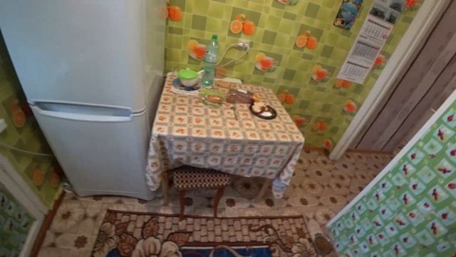 Индейка и говяжье сердце для собаки смотреть онлайн