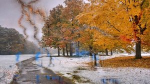 Скоро, скоро на луга... Ю. Антонов