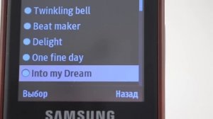 Samsung C6112 - видеообзор ( gt c6112 ) от Video-shoper.ru