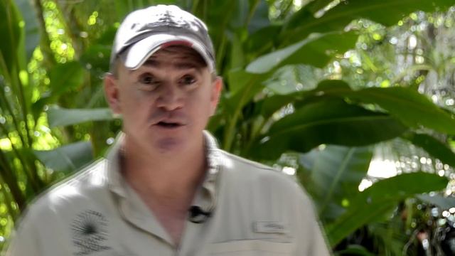 Queen Elizabeth II Botanic Park HD смотреть онлайн