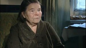 1929 год (Кулаки России)