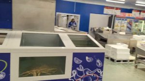 краб Камчатский живой