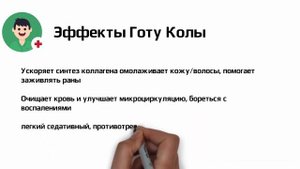 Готу кола. Центелла азиатская. Чудо-трава