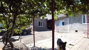 Взял Калину в Аренду ))