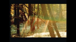 Heartbeat- Childish Gambino(HD)