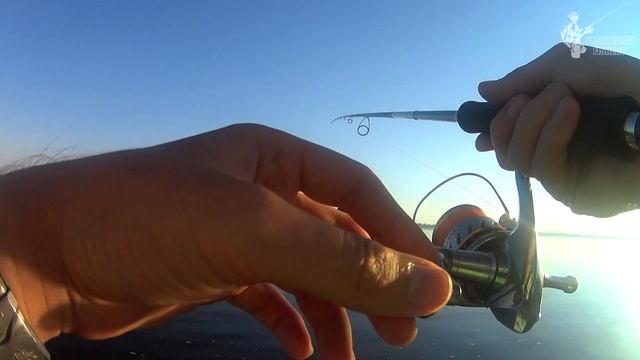 Обзор спиннинга Graphiteleader Vivo Prototype GVOPS-762ML смотреть онлайн