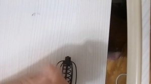 Донная оснастка на карася, своими руками.#рыбалка36