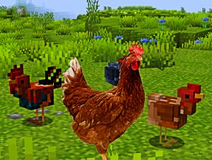Realistic Chicken in  @Minecraft  ? #Shorts