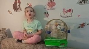 Стихотворение Т.Коваль «У меня есть попугай», читает Кашуба Мария, 6 лет