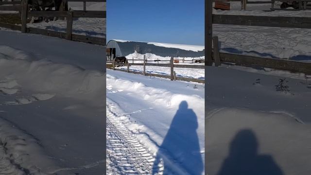 Мой не идеальный, идеальный мир.