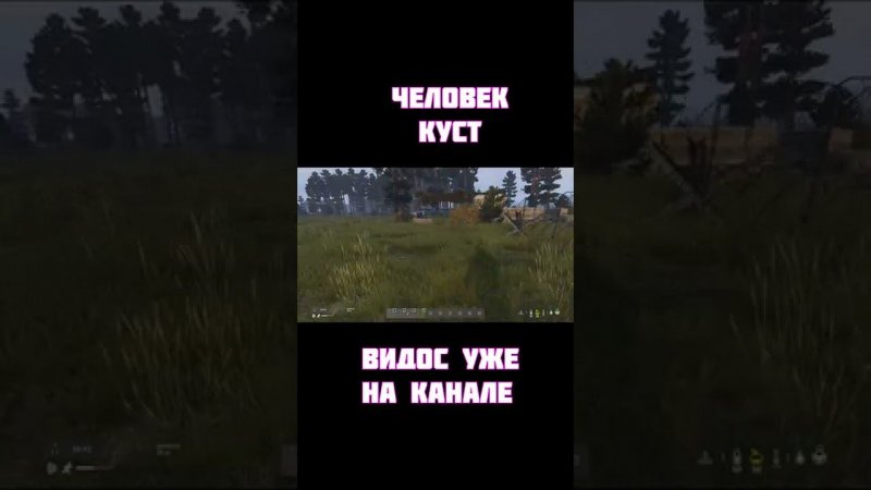 Dayz — (человек куст) #shorts