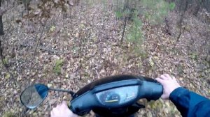 ПОКАТУШКИ НА СКУТЕРЕ ПО ЛЕСУ/ЗАБЛУДИЛСЯ В ЛЕСУ