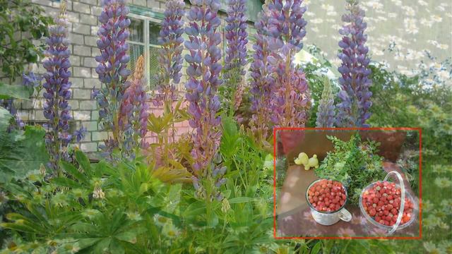 Лето на даче смотреть онлайн