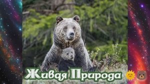 Живая Природа ?? 17.11.2023.