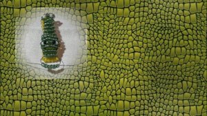 Плетение крокодила из бисера