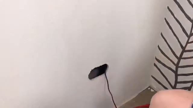 08.11.2019 Монтаж розетки 220В в ГВЛ-короб смотреть онлайн