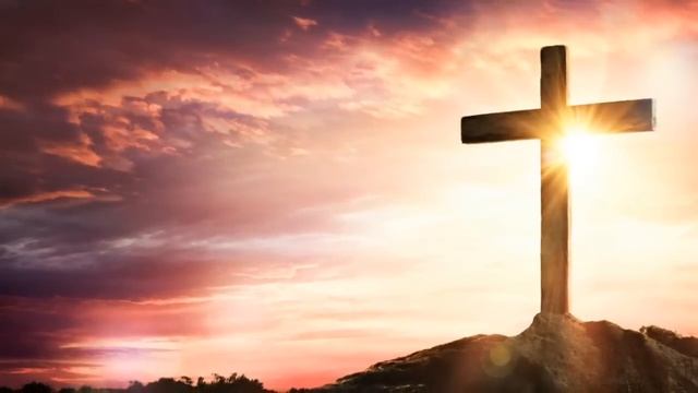 Пёс долго ходил туда, где в последний раз видел хозяина. Но, что было потом, всех удивило до слёз! смотреть онлайн