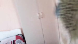 Адлер. ул Гоголя Гостевой Дом. Заезд. 2017 год. Пляж Огонек.