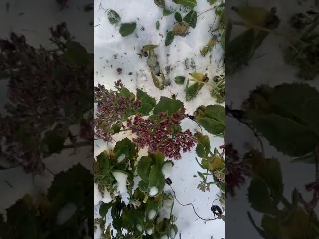 30 ноября 2022 г. смотреть онлайн