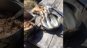 Большие Коты. Байкал.Рыбалка выходного дня.